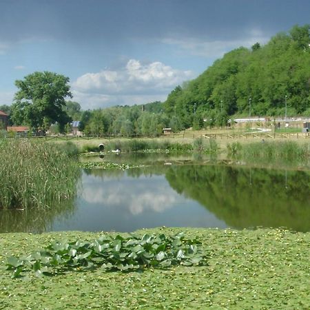 Montesanto 116 Apartment Козенца Екстериор снимка
